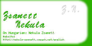 zsanett nekula business card